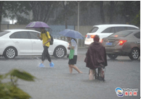 暴雨來襲 親們~請(qǐng)注意交通安全，別急！